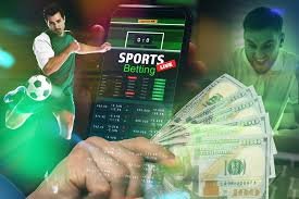 Exploring Betwinner A Comprehensive Guide for Sports Betting Enthusiasts