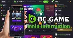Exploring the Exciting World of BC.Game Hub 713367629