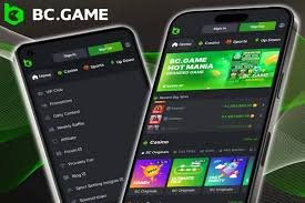 Understanding the BC.Game Login Process A Step-by-Step Guide 651147066 Understanding the BC.Game Login Process A Step-by-Step Guide 651147066