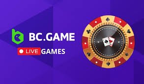 Your Comprehensive Guide to BC.Game Welcome Bonus